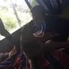 ayoun01